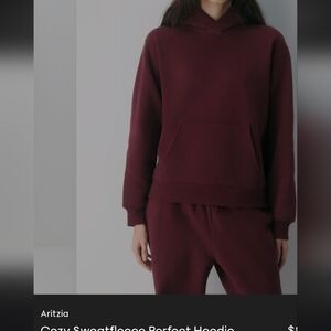 Aritzia Deep Red Sweatfleece Hoodie